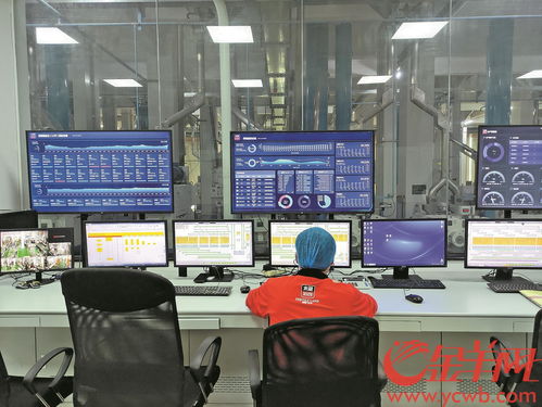 东莞数字经济赋能传统制造 150秒完成大米样品快速检测